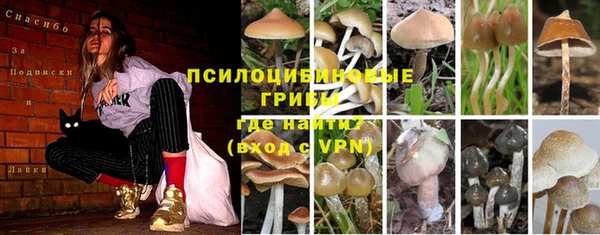 крисы Алексеевка