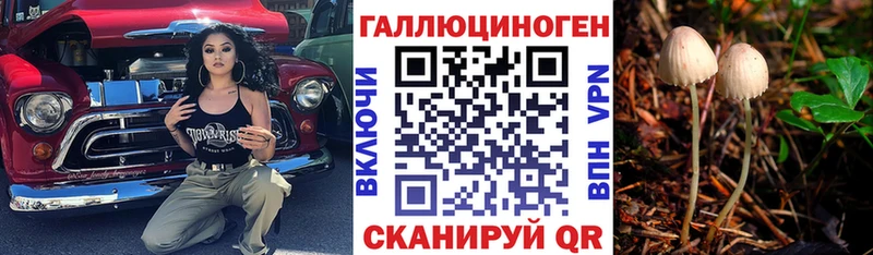 Галлюциногенные грибы Psilocybine cubensis  даркнет сайт  Емва 
